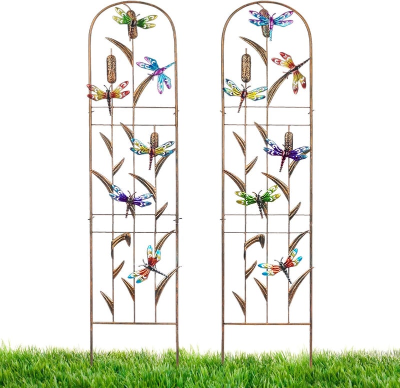 LEWIS&WAYNE 2 Pack Metal Garden Trellis with Colorful Dragonfly 60 Inch High Outdoor Decoration Arched Fence Trellis for Climbing Plants for Patio, Lawn, Yard, Backyard, Wall Brackets - Image 1